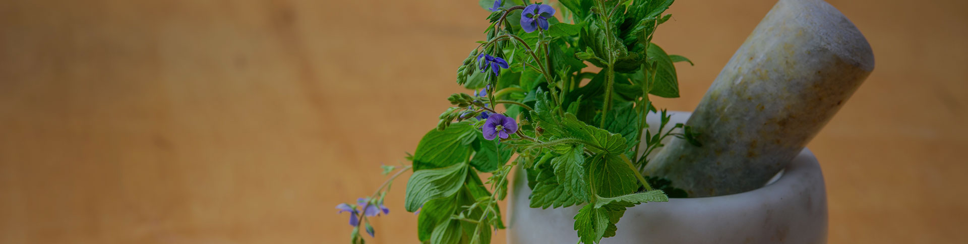 種藥吧-中藥供需信息發布微信平臺|一網天行-網站建設小程序APP系統軟件開發公司