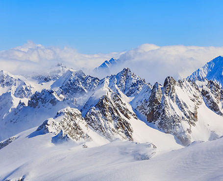 新毅控股企業(yè)宣傳網(wǎng)站|一網(wǎng)天行-網(wǎng)站建設小程序APP系統(tǒng)軟件開發(fā)公司