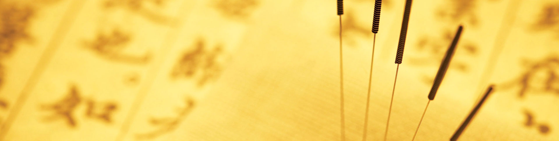 百草園國醫館宣傳網站|一網天行-網站建設小程序APP系統軟件開發公司