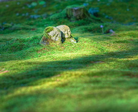 中影之星文化傳播企業官網