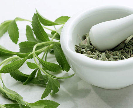 種藥吧-中藥供需信息發布平臺|一網天行-網站建設小程序APP系統軟件開發公司