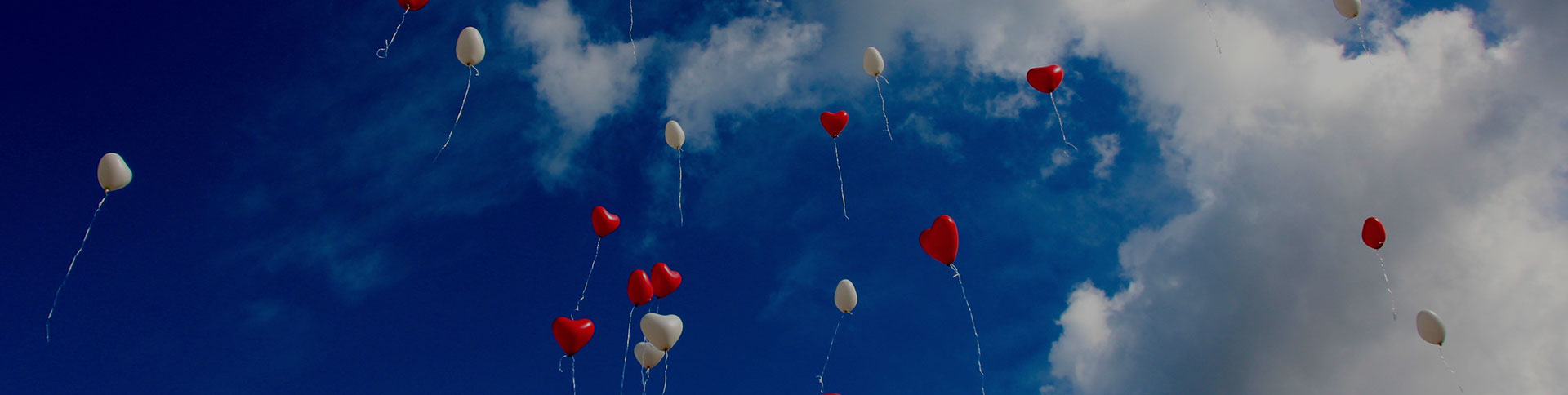 大眾籌-在線眾籌網站平臺|一網天行-網站建設小程序APP系統軟件開發公司