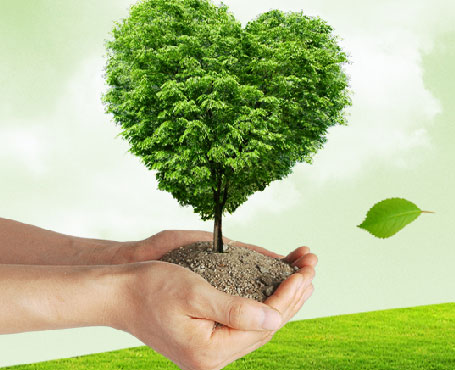 吉林天澤企業宣傳網站