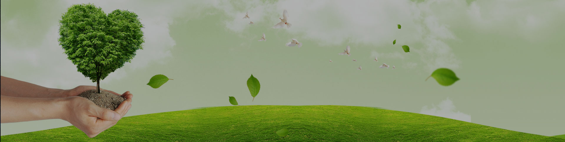 吉林天澤企業宣傳網站|一網天行-網站建設小程序APP系統軟件開發公司