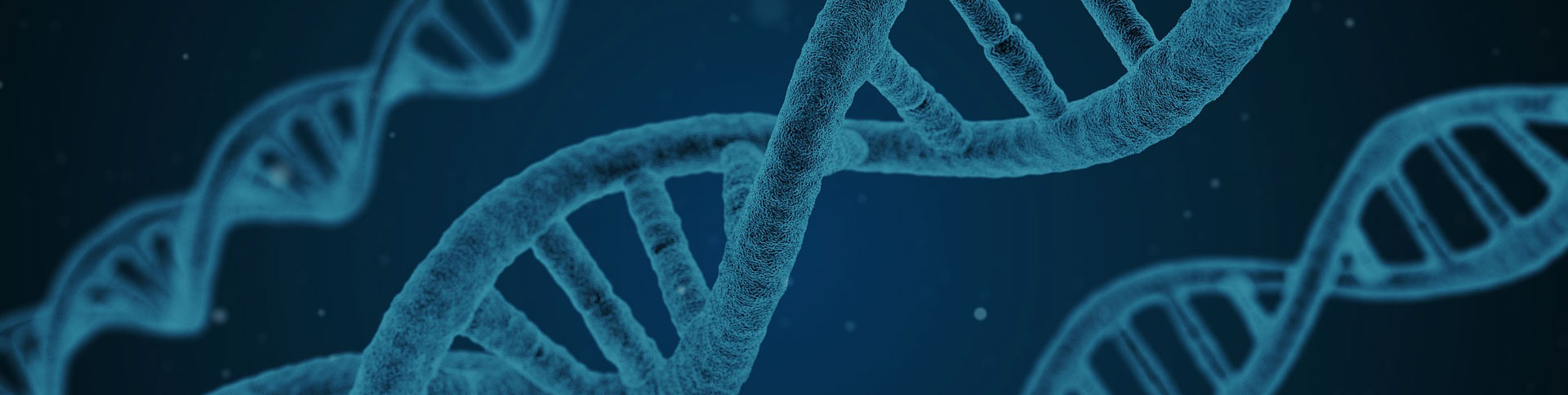 360基因官方網站|一網天行-網站建設小程序APP系統軟件開發公司