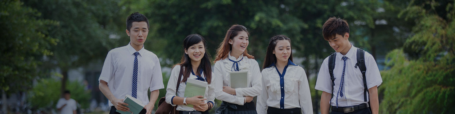 金融街教育宣傳網站|一網天行-網站建設小程序APP系統軟件開發公司