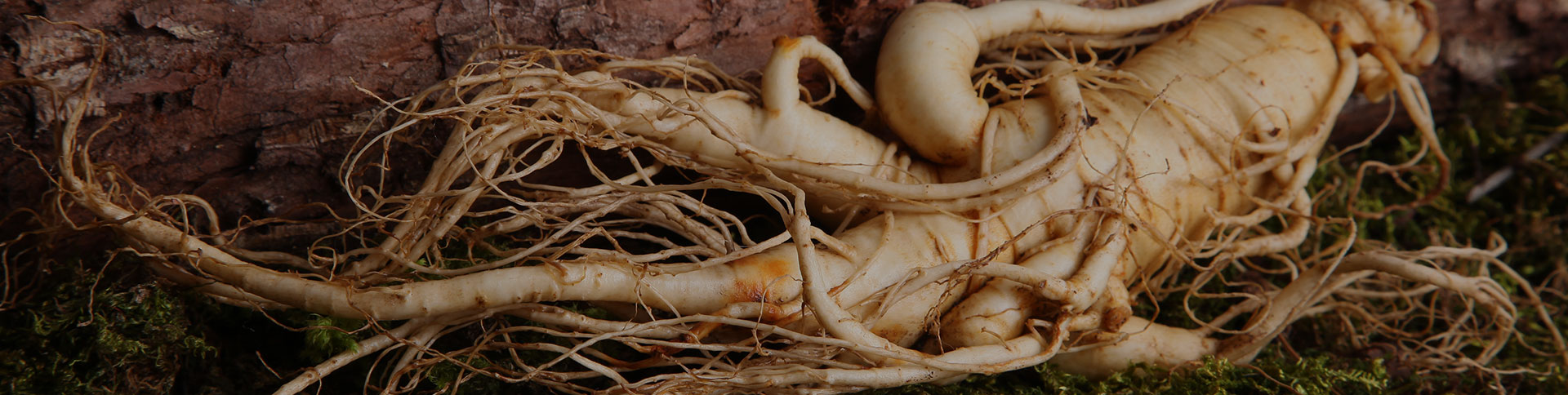 正德藥業-品牌營銷網站|一網天行-網站建設小程序APP系統軟件開發公司