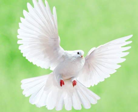 野谷集團網(wǎng)站|一網(wǎng)天行-網(wǎng)站建設(shè)小程序APP系統(tǒng)軟件開發(fā)公司