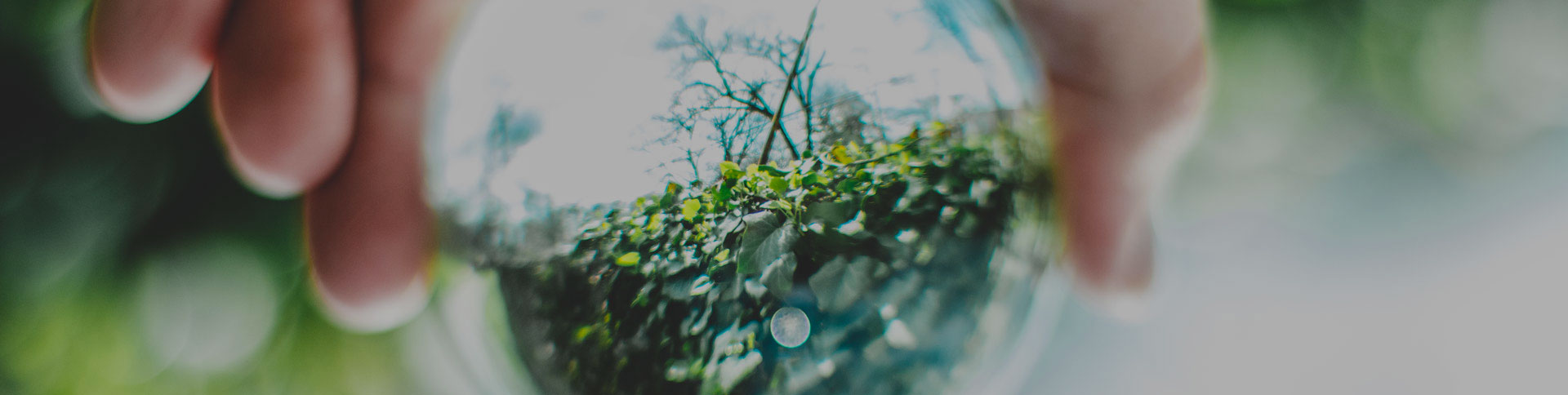 中關村節能環保專委會網站|一網天行-網站建設小程序APP系統軟件開發公司