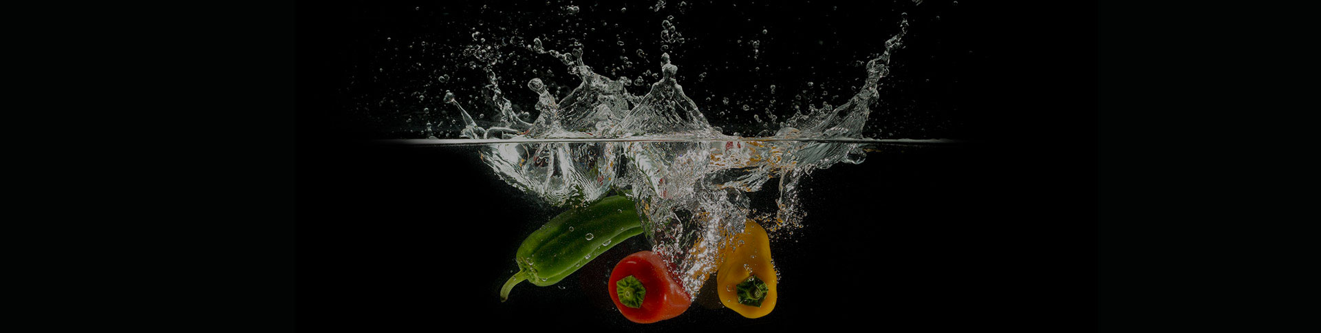 晉漢子品牌宣傳網站|一網天行-網站建設小程序APP系統軟件開發公司