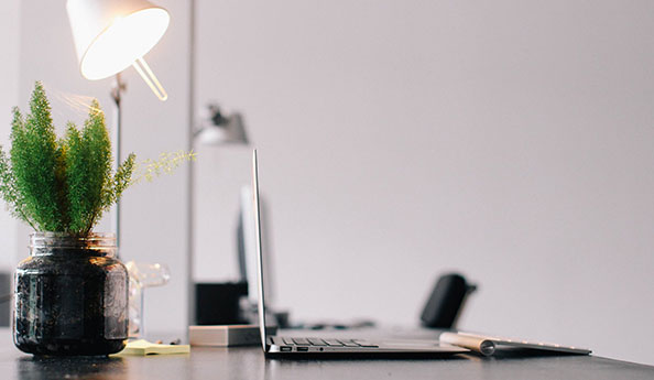 小程序開發|APP軟件開發|網站系統開發公司-一網天行 小程序開發|APP軟件開發|網站系統開發公司-一網天行