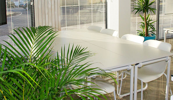 小程序開發|APP軟件開發|網站系統開發公司-一網天行 小程序開發|APP軟件開發|網站系統開發公司-一網天行