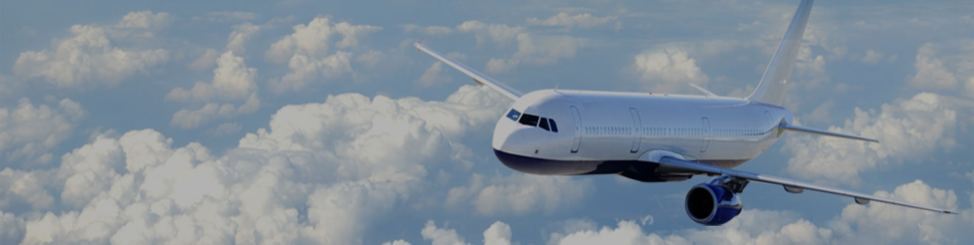 鳳天乘云企業宣傳網站|一網天行-網站建設小程序APP系統軟件開發公司