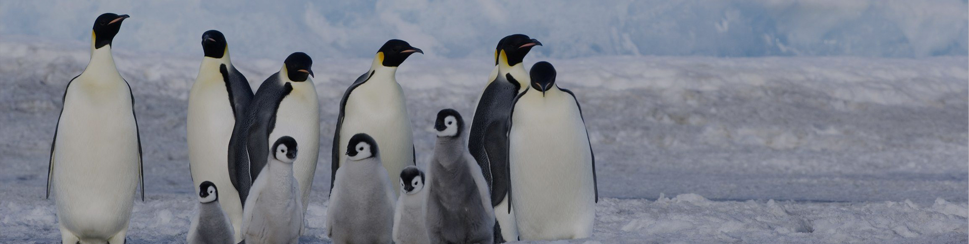 海信日立-微信工單報修服務號平臺|一網天行-網站建設小程序APP系統軟件開發公司