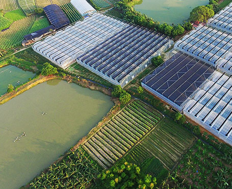 健康產業集團公司品牌宣傳網站